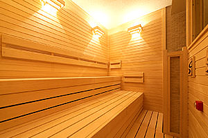 Sauna for gentlemen image